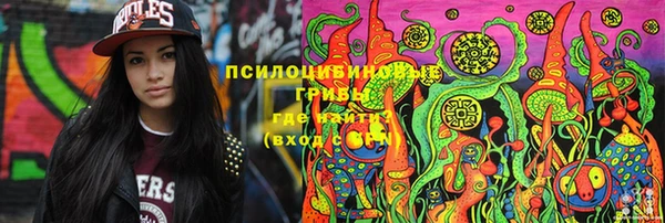 прущая мука Гусев